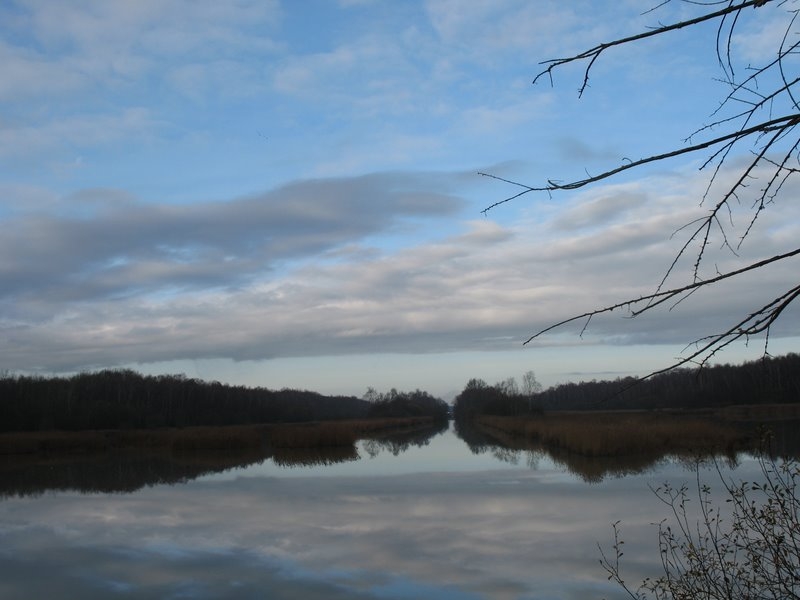 2006 12 Ornitho St Hubert 10